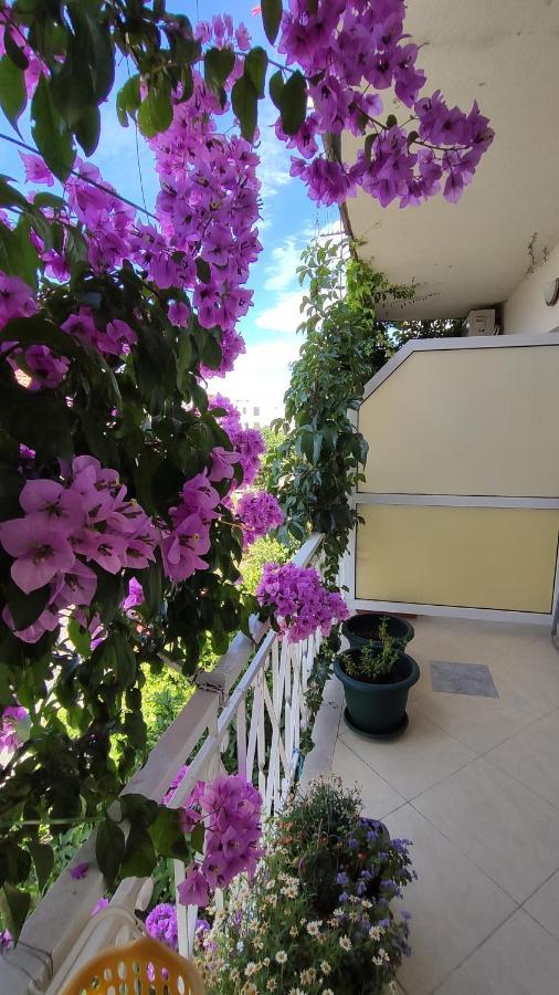 Apartments Jadranka Makarska Dış mekan fotoğraf