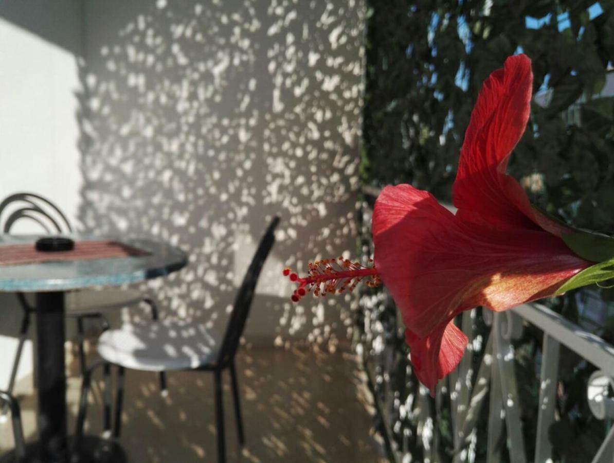 Apartments Jadranka Makarska Dış mekan fotoğraf
